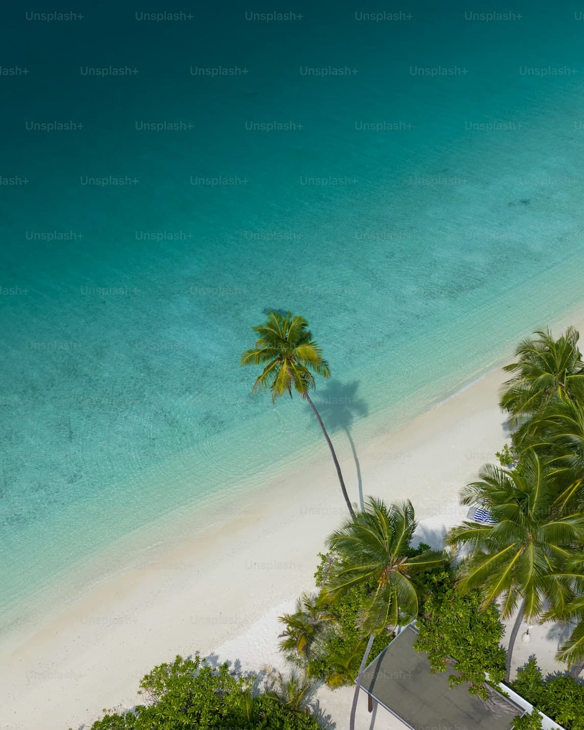 Destination Type-Based Travel