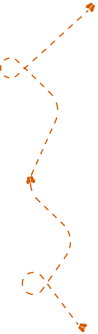Line decoration