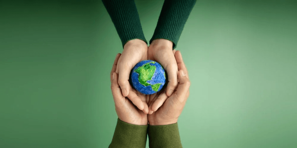 Sustainability