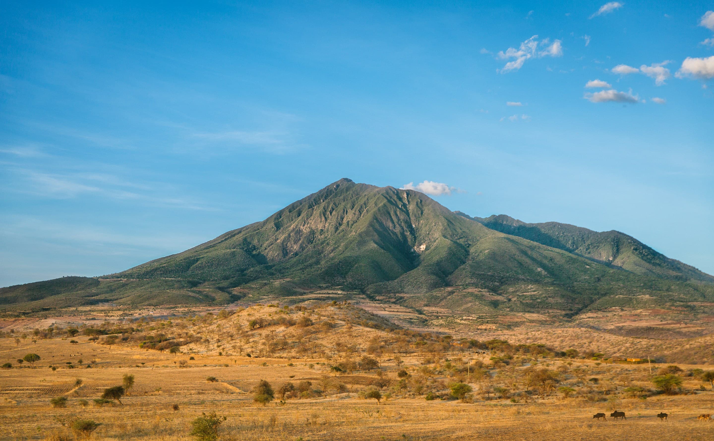 Discover Africa
